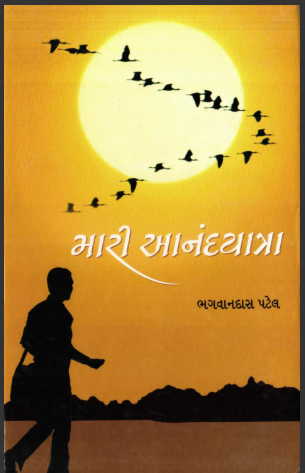 મારી આનંદયાત્રા